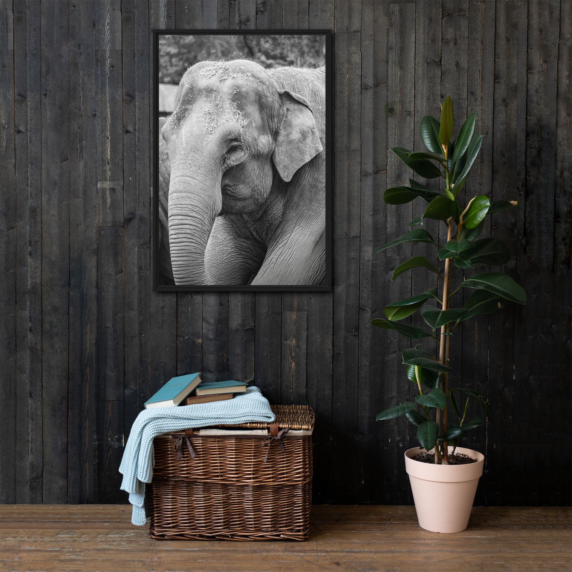 Elephant B&W - Fine art framed canvas - Image 3