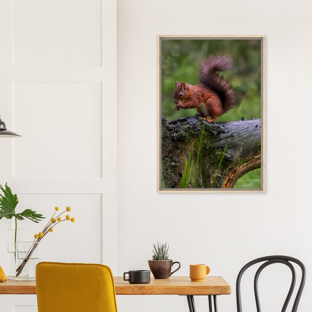 Red Squirrel - Framed Canvas - Image 3