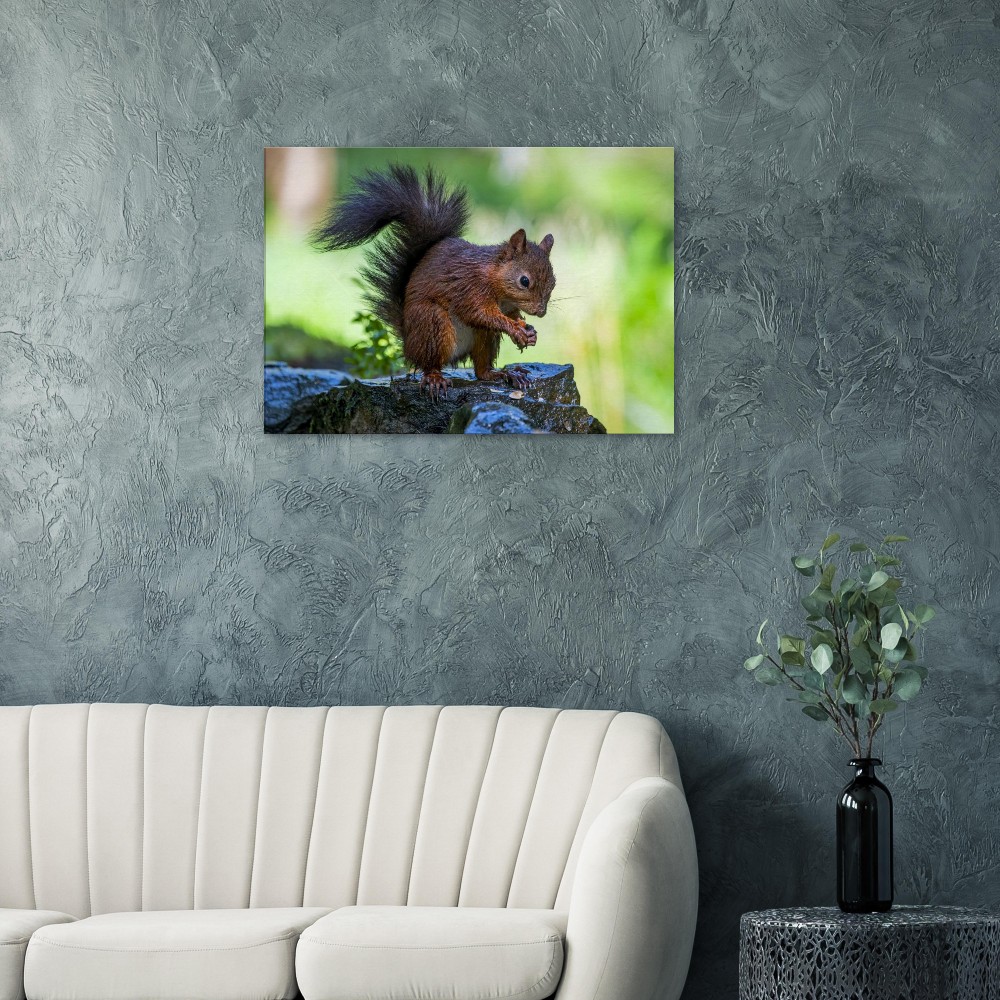 Red Squirrel With An Acorn - Fine art Canvas print - Image 5