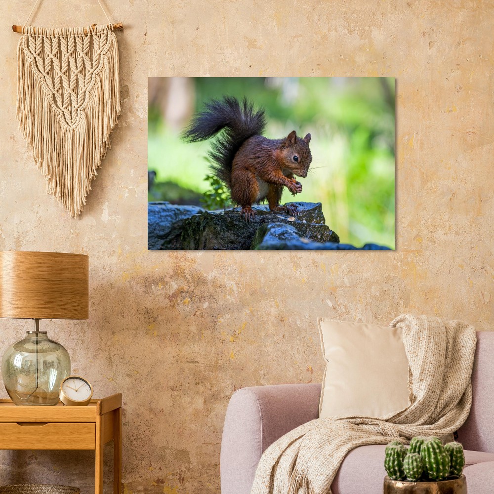 Squirrel With An Acorn - Aluminum Fine Art Print - Image 2