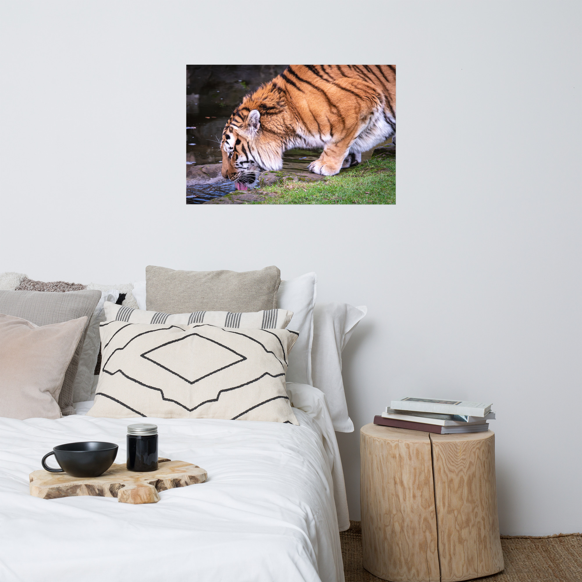 Male Amur Tiger - Fine art print - Image 4