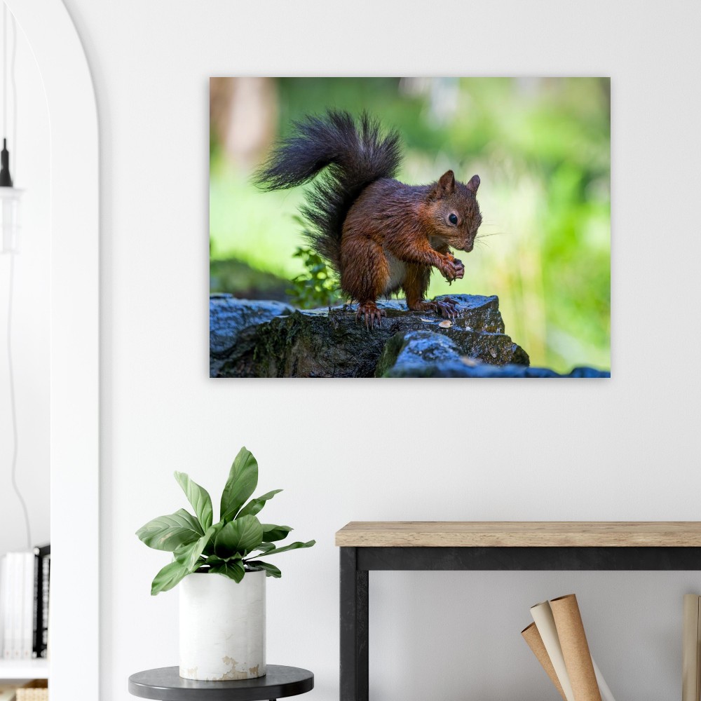Squirrel With An Acorn - Fine Art Print - Image 6