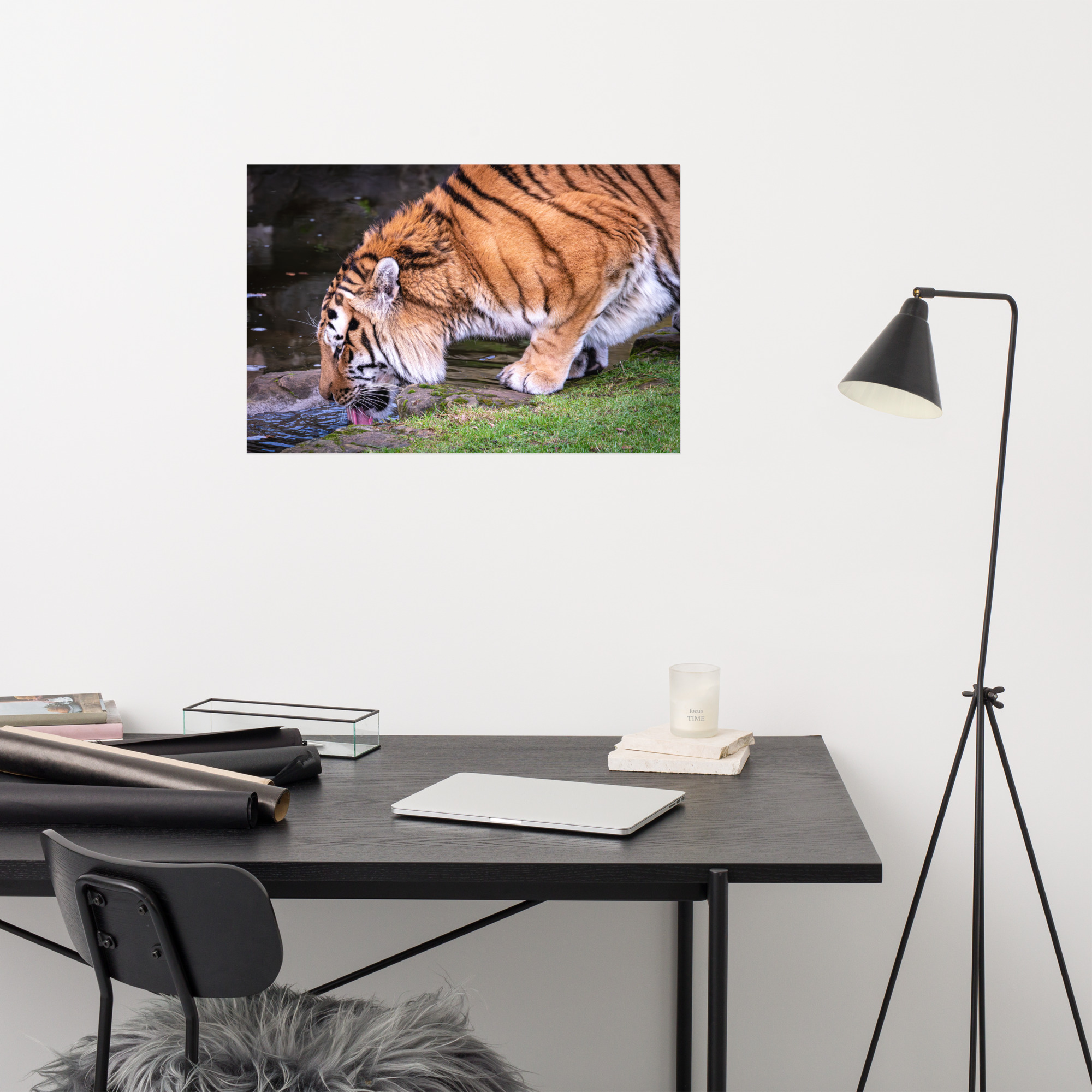 Male Amur Tiger - Fine art print - Image 9