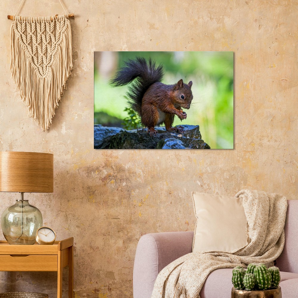 Red Squirrel With An Acorn - Fine art Canvas print - Image 2