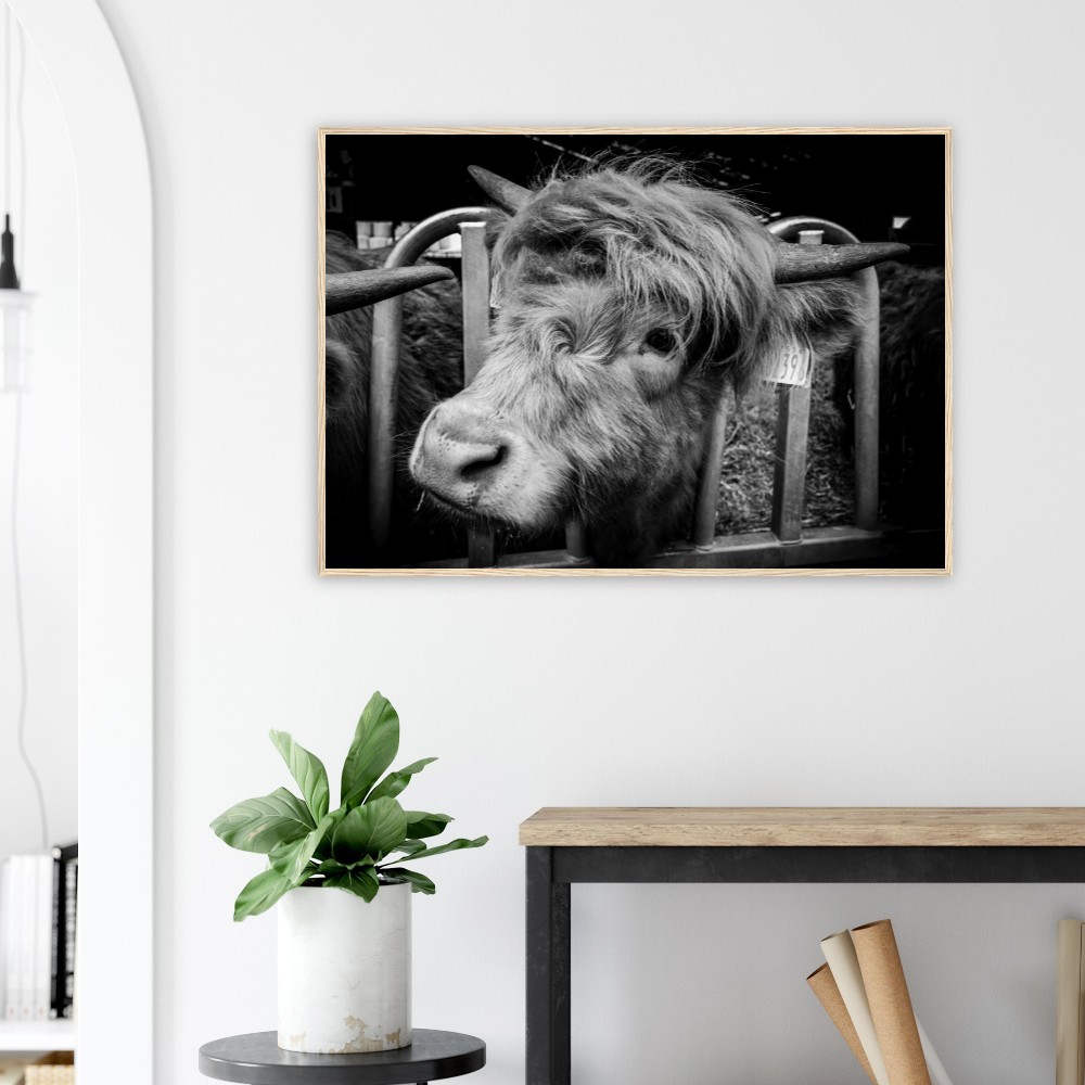 Highland Cow B&W - Wooden Framed Print - Image 4