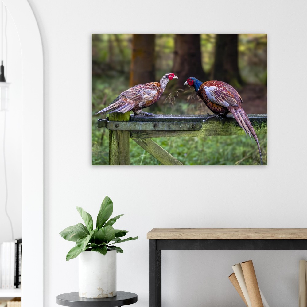 Brace Of Pheasants - Fine Art Print - Image 4