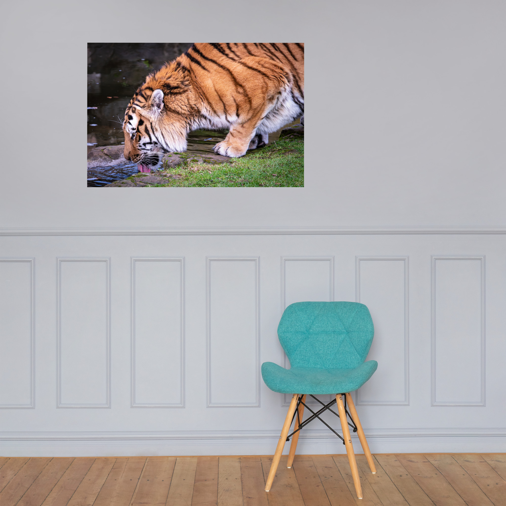 Male Amur Tiger - Fine art print - Image 3