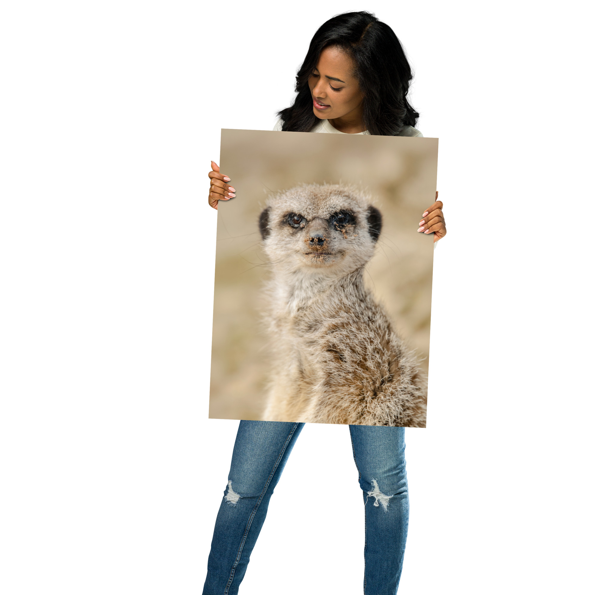 Dreamy Meercat - Fine art print - Image 2