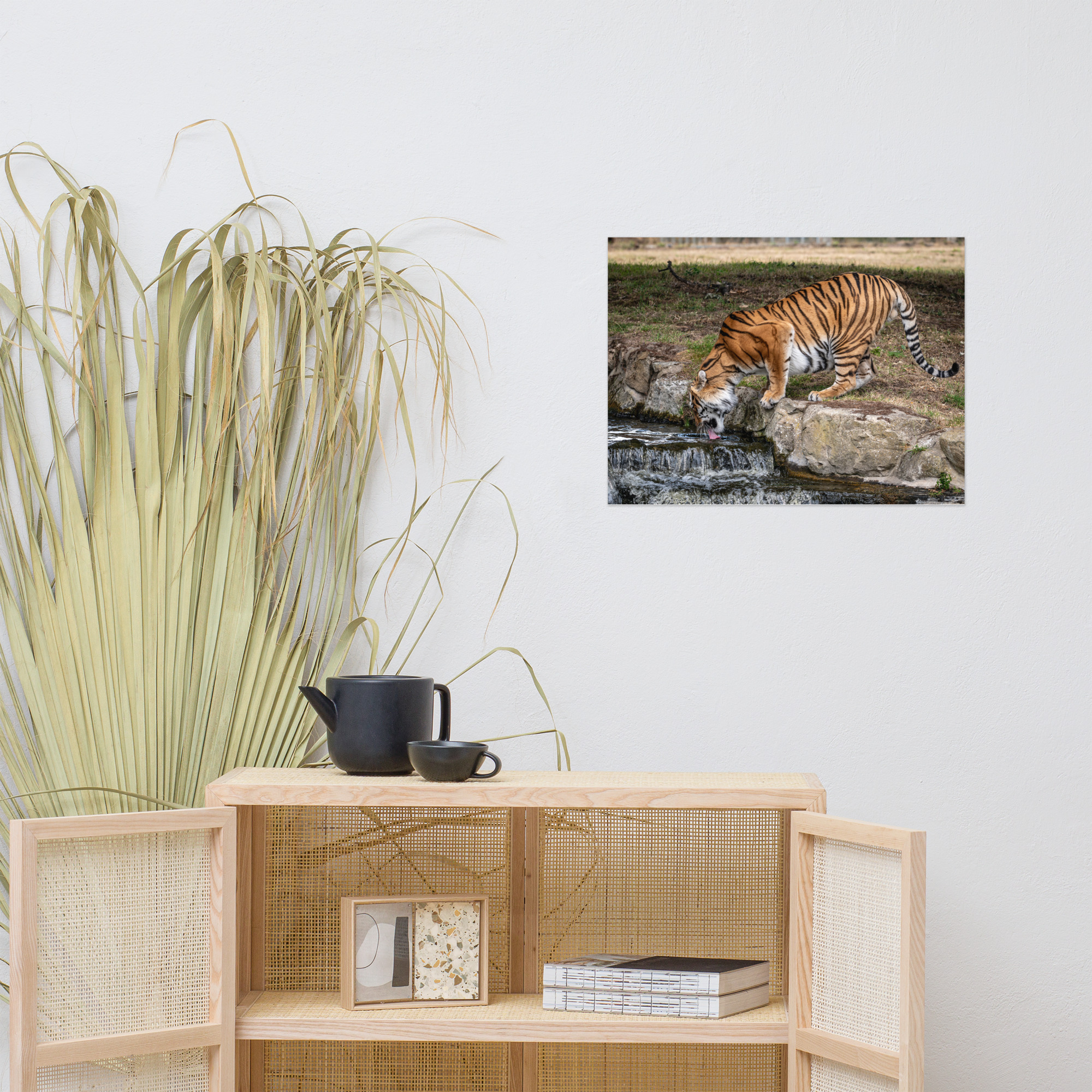 Amur Tiger dinking - Fine art print - Image 7