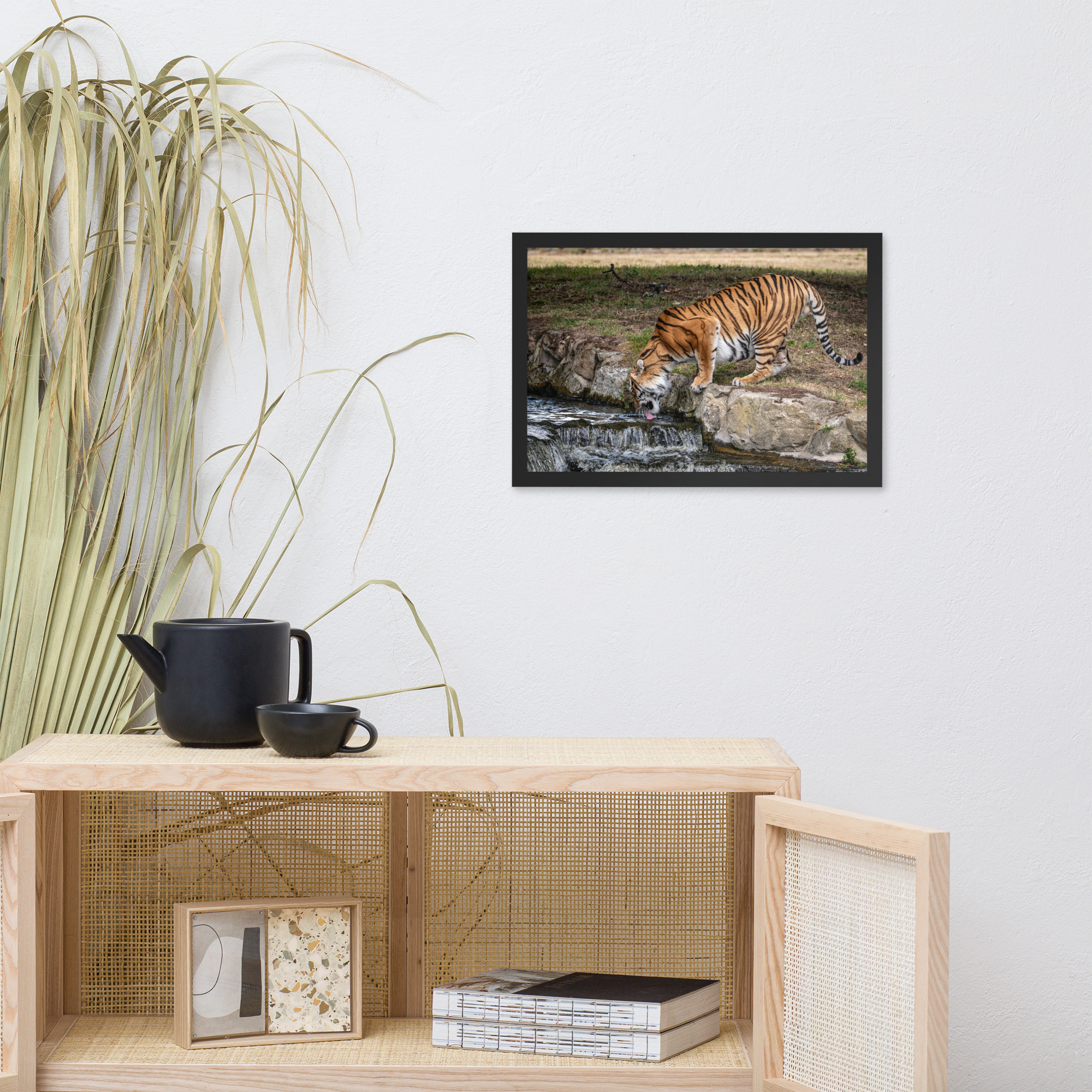 Amur Tiger drinking - Framed fine art print - Image 7