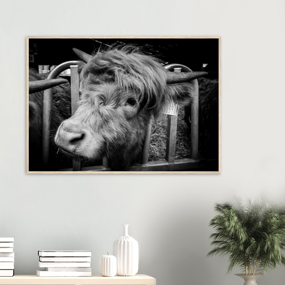 Highland Cow B&W - Wooden Framed Print - Image 5