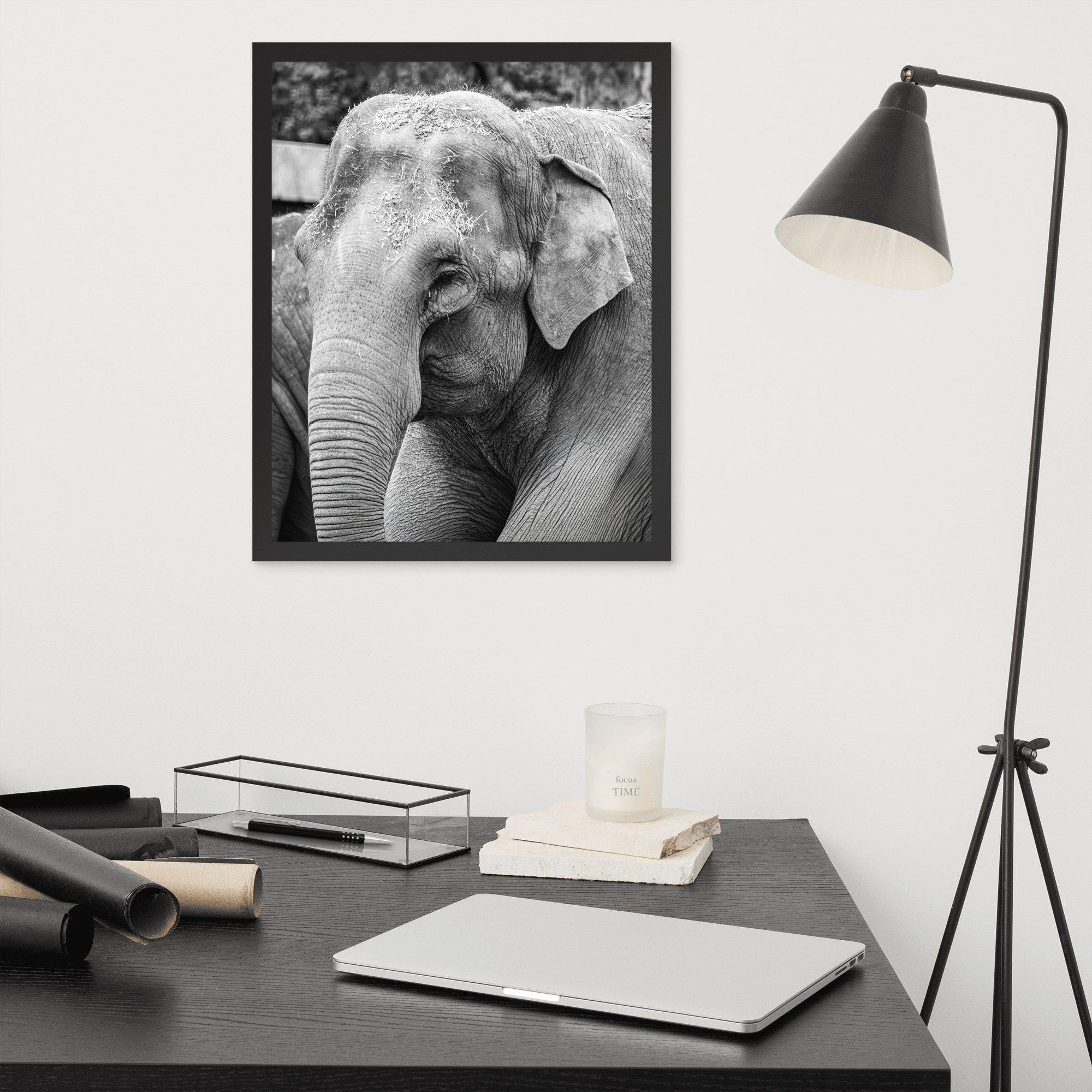 Elephant B&W -Black and white framed fine art print - Image 7