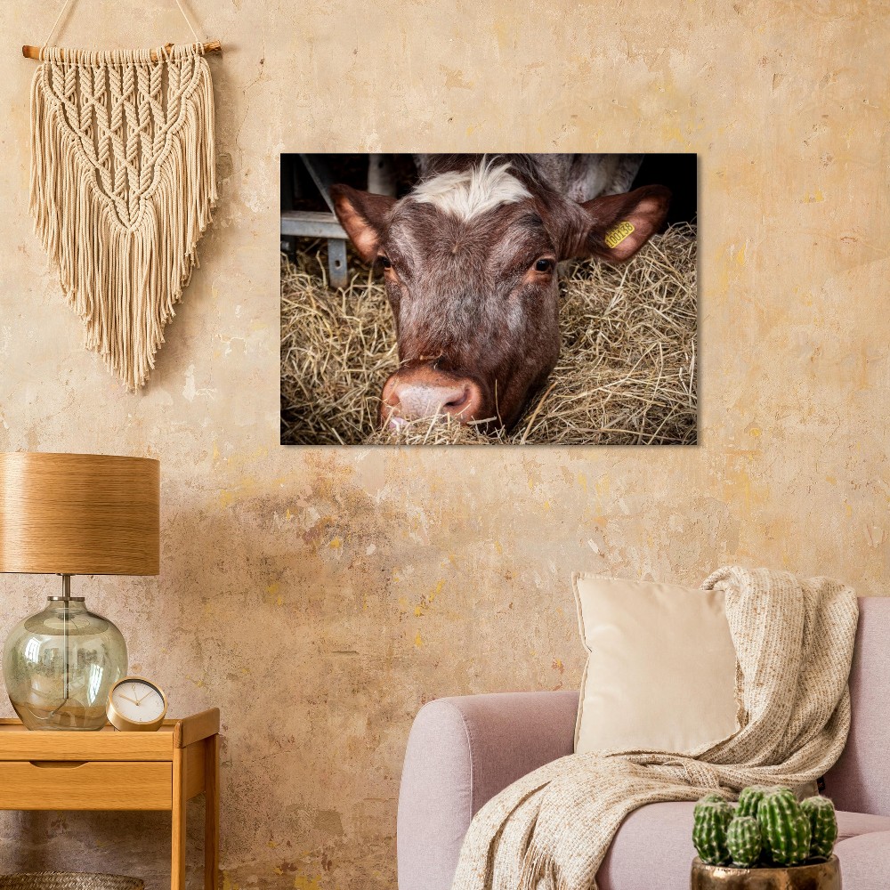 Hungry Cow - Fine art Canvas print - Image 6