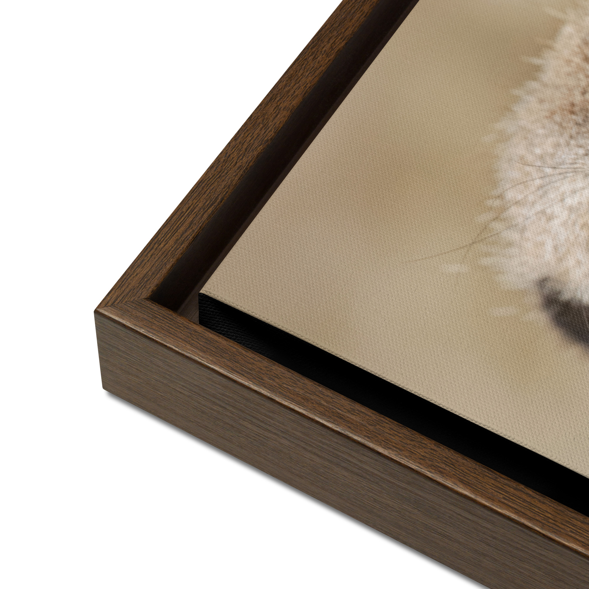 Dreamy Meercat - Framed fine art canvas - Image 9