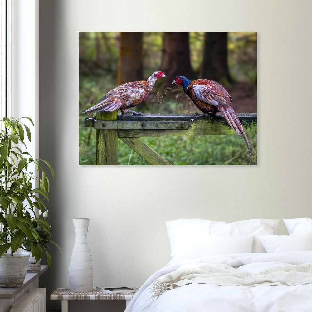 Brace Of Pheasants - Fine Art Print - Image 2