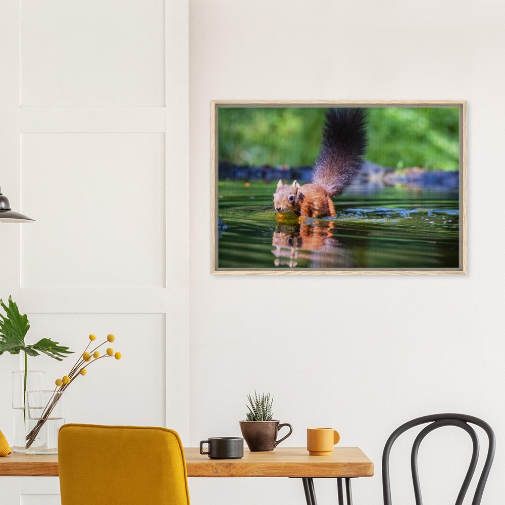 Red Squirrel sun lit in water - Fine art Framed Canvas - Image 6