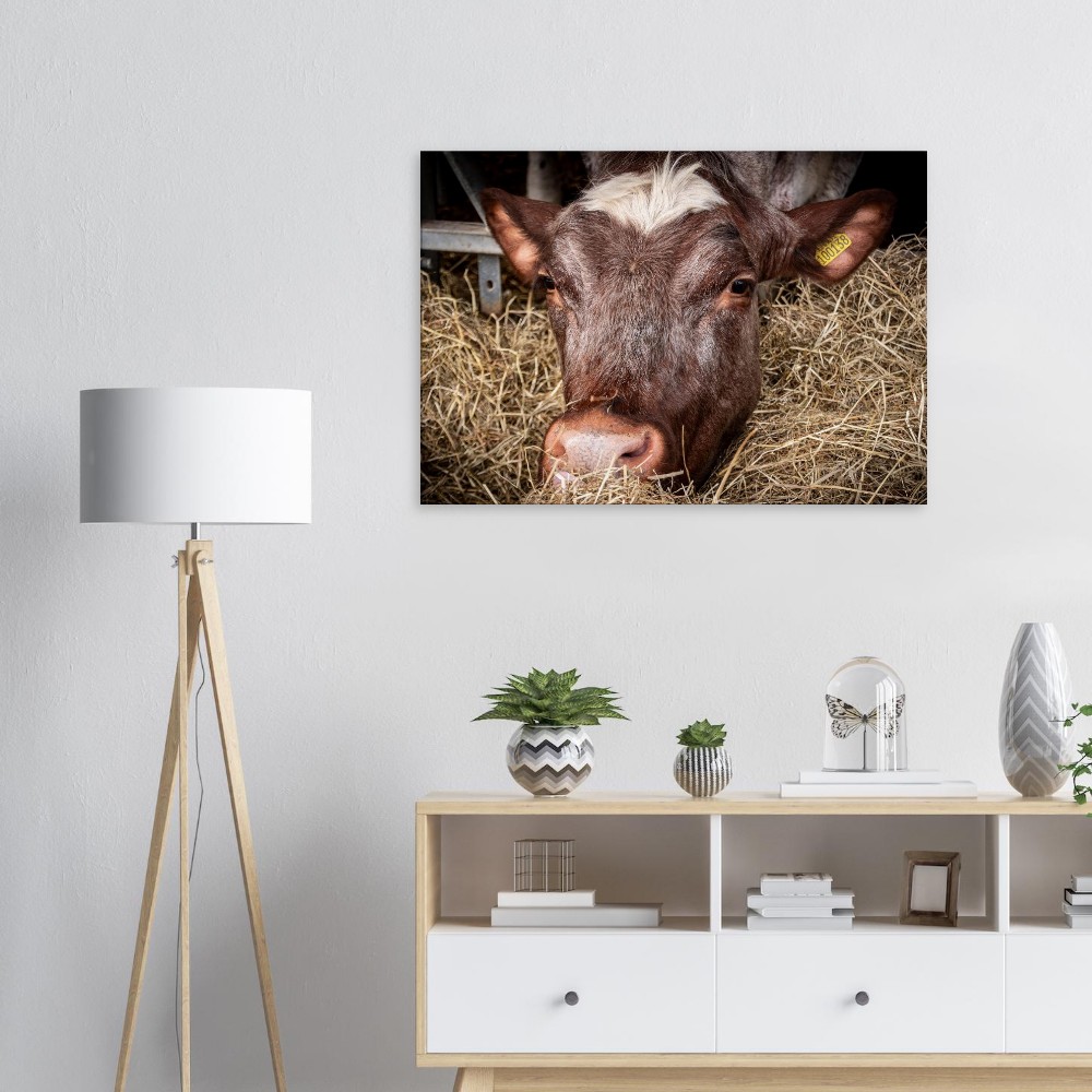 Hungry Cow - Fine art Canvas print - Image 4
