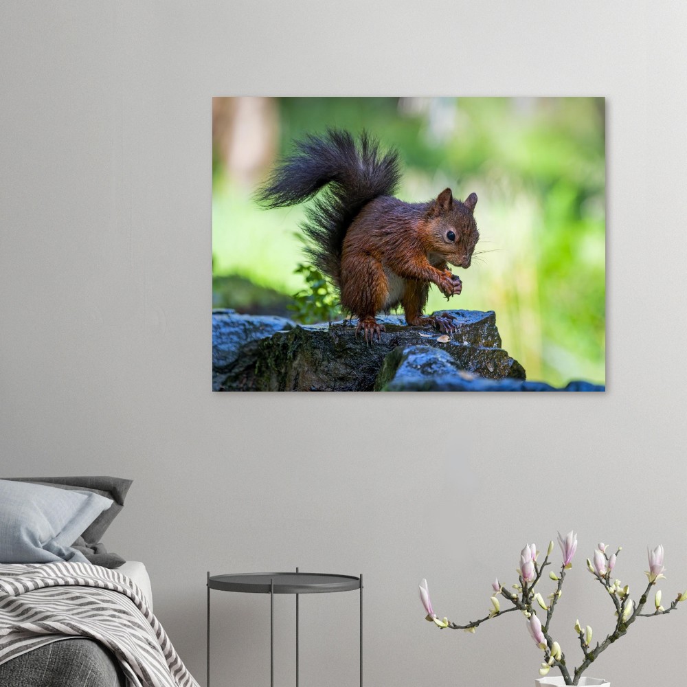 Squirrel With An Acorn - Fine Art Print - Image 4