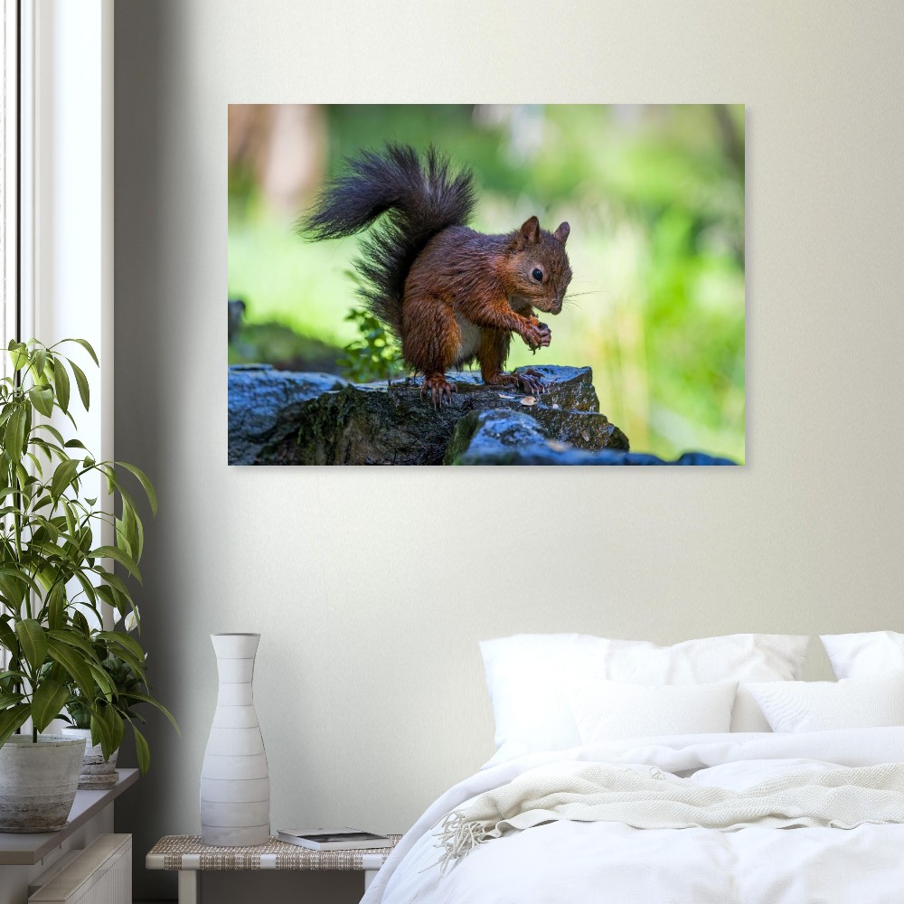 Squirrel With An Acorn - Aluminum Fine Art Print - Image 3