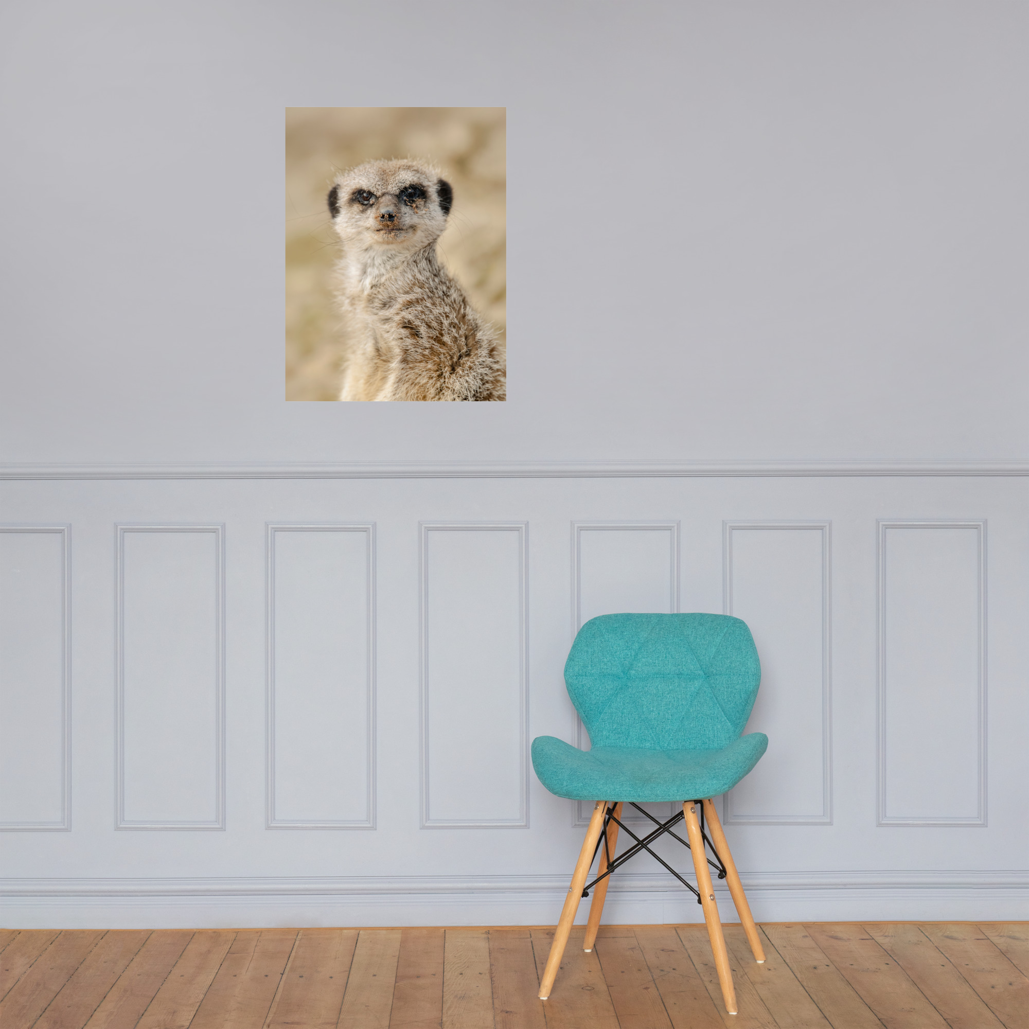 Dreamy Meercat - Fine art print - Image 3