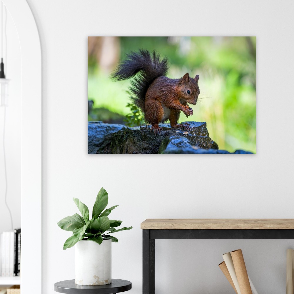 Squirrel With An Acorn - Aluminum Fine Art Print - Image 6