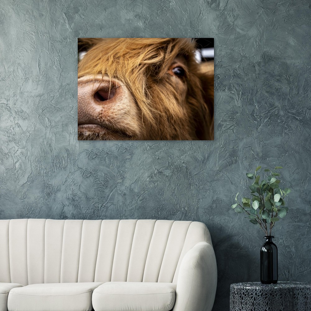 Highland Cow Nose - Fine Art Print - Image 4