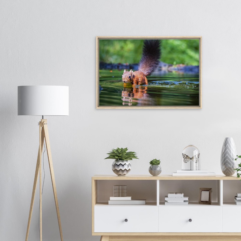 Red Squirrel sun lit in water - Fine art Framed Canvas - Image 5