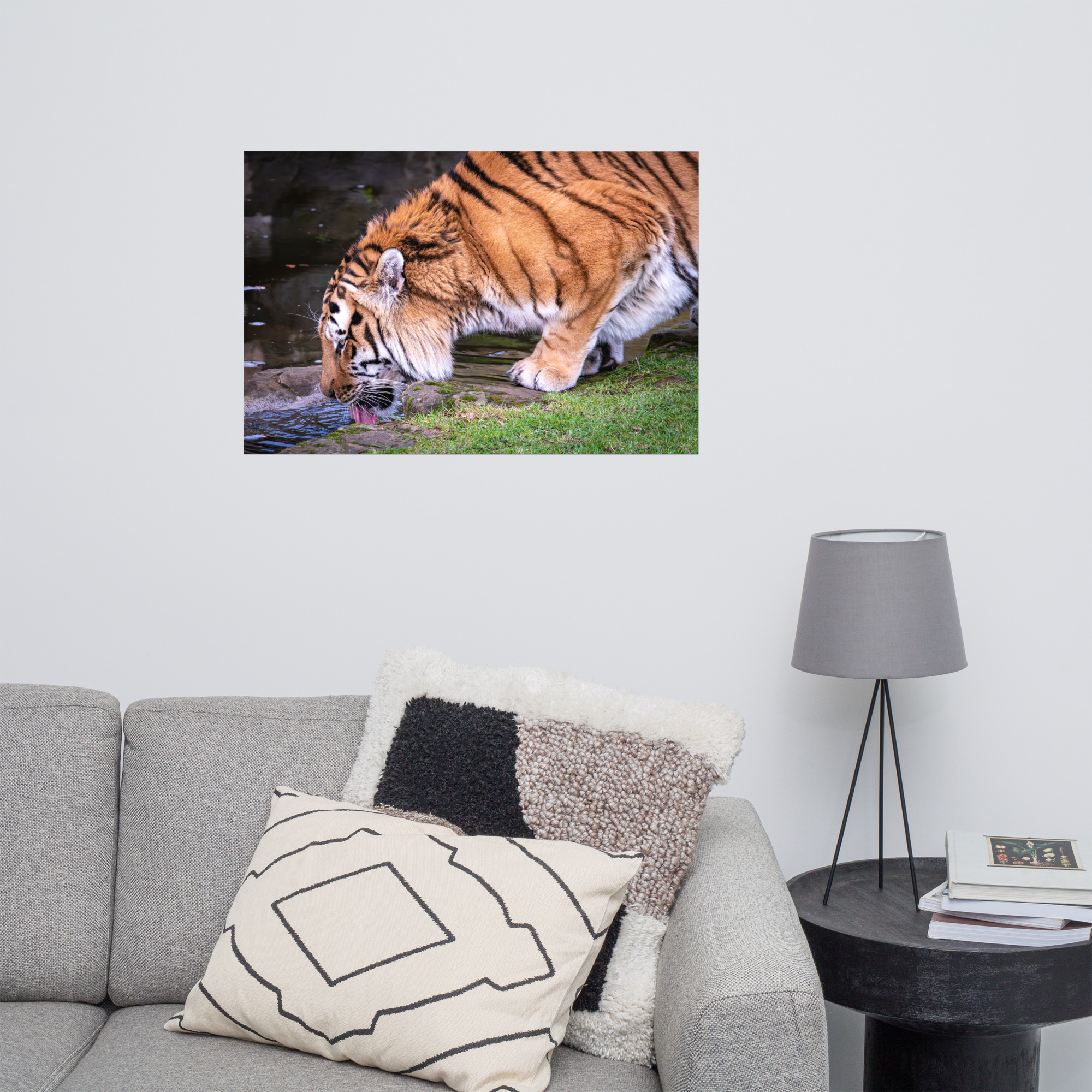Male Amur Tiger - Fine art print - Image 8