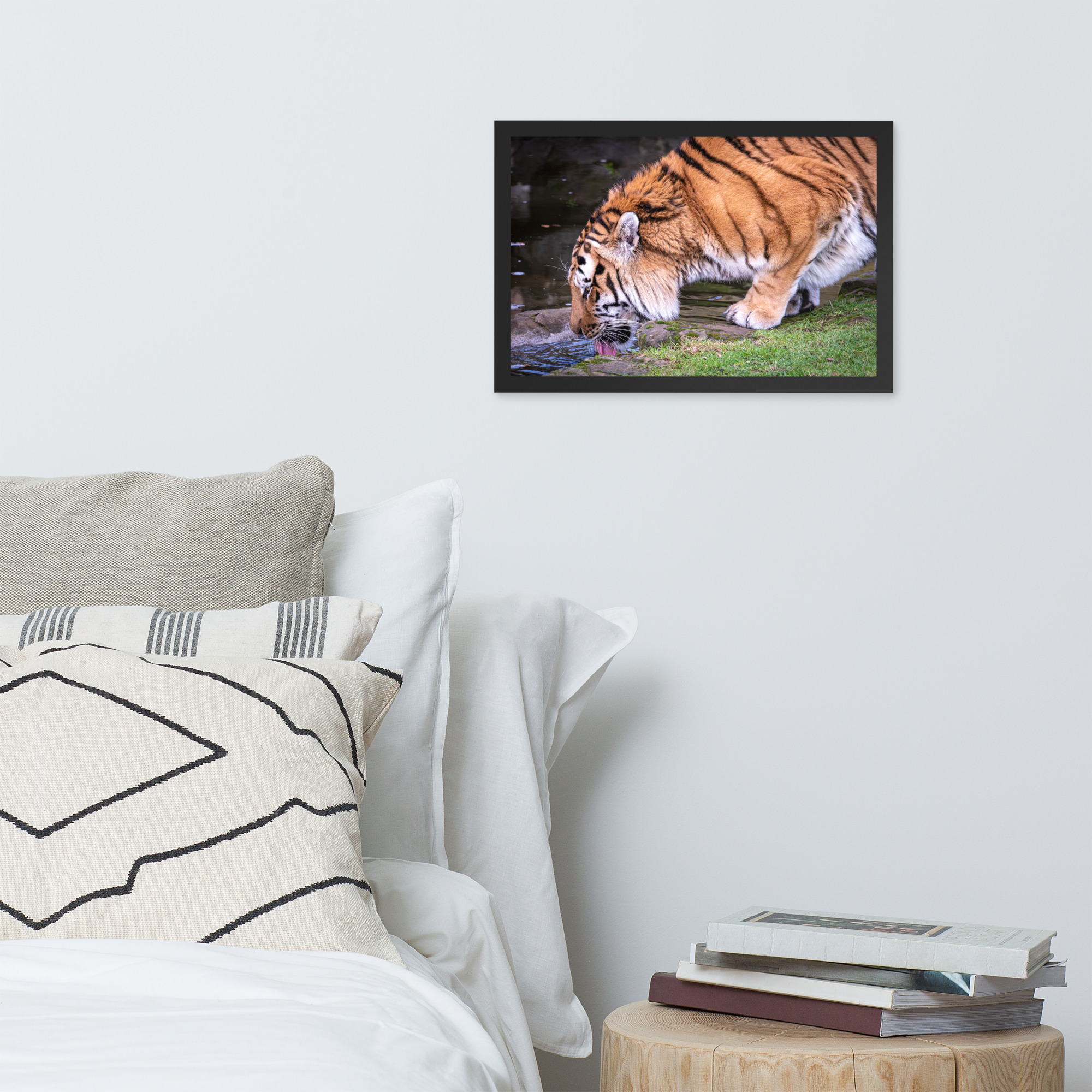 Male Amur Tiger - Framed fine art print - Image 4