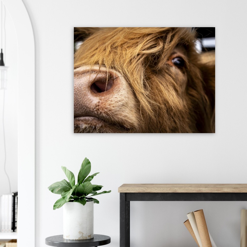 Highland Cow Nose - Fine Art Print - Image 3