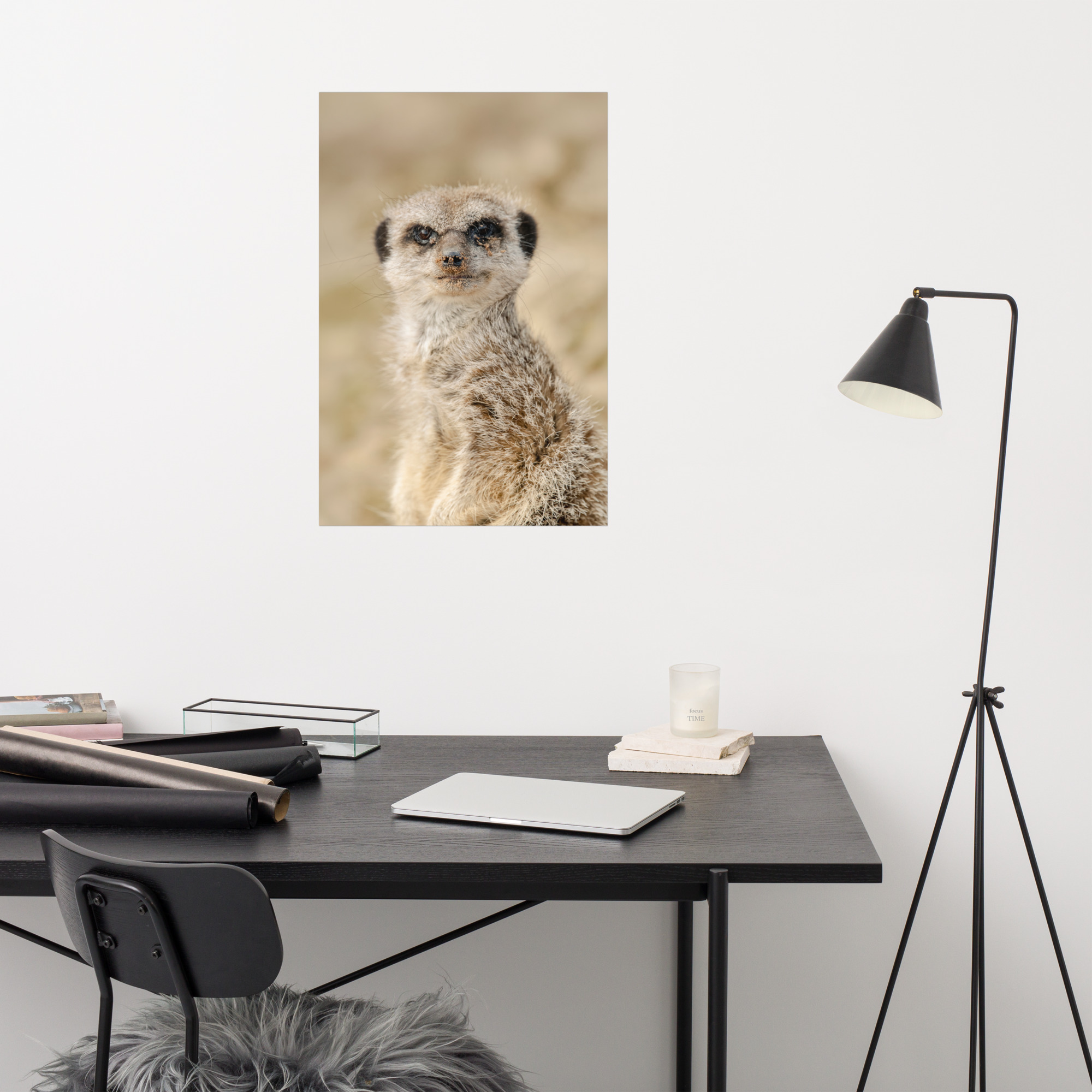 Dreamy Meercat - Fine art print - Image 10