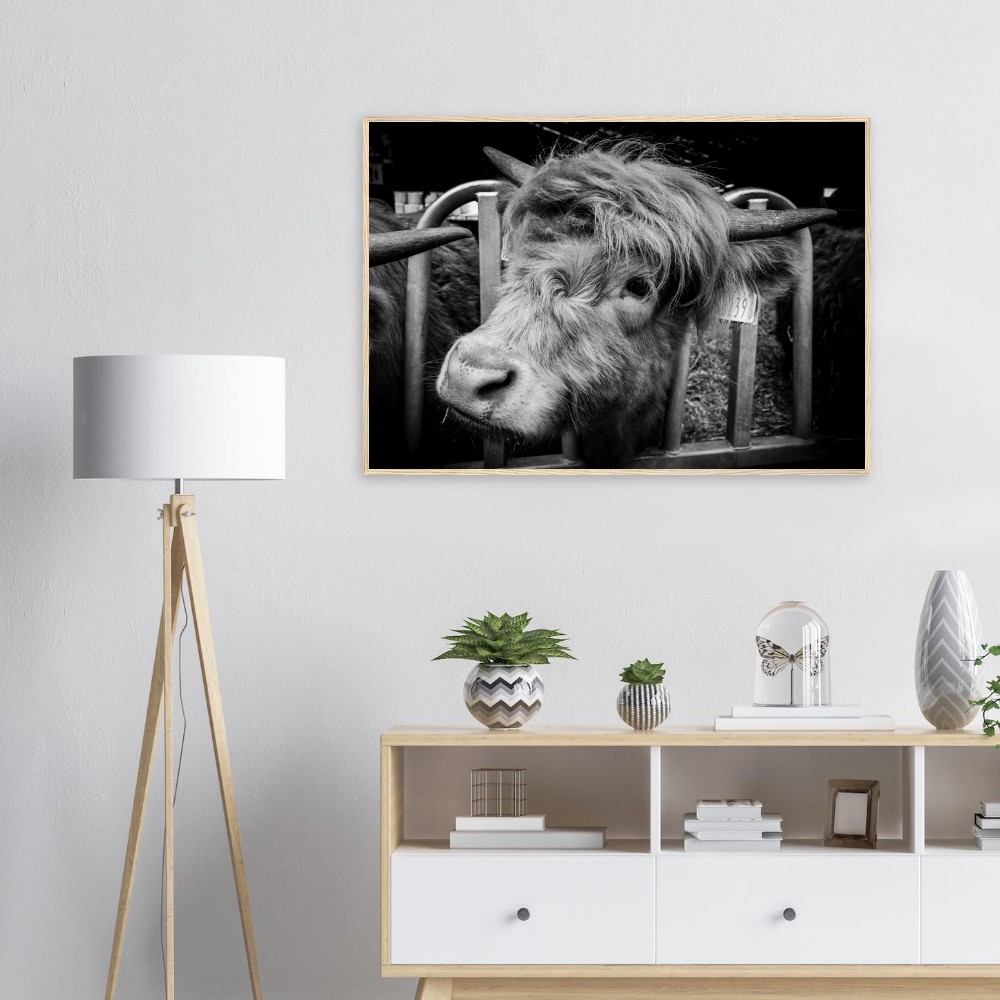 Highland Cow B&W - Wooden Framed Print - Image 2