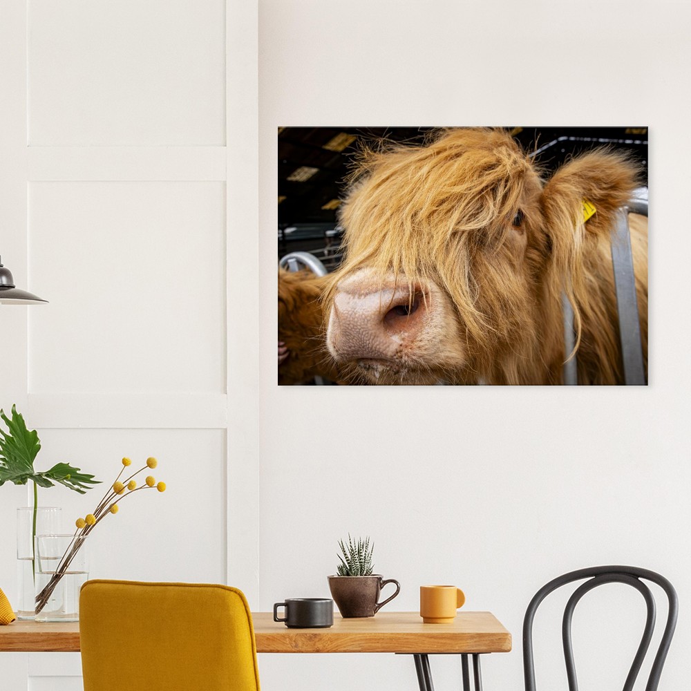 Highland Cow Close - Fine art Canvas print - Image 6