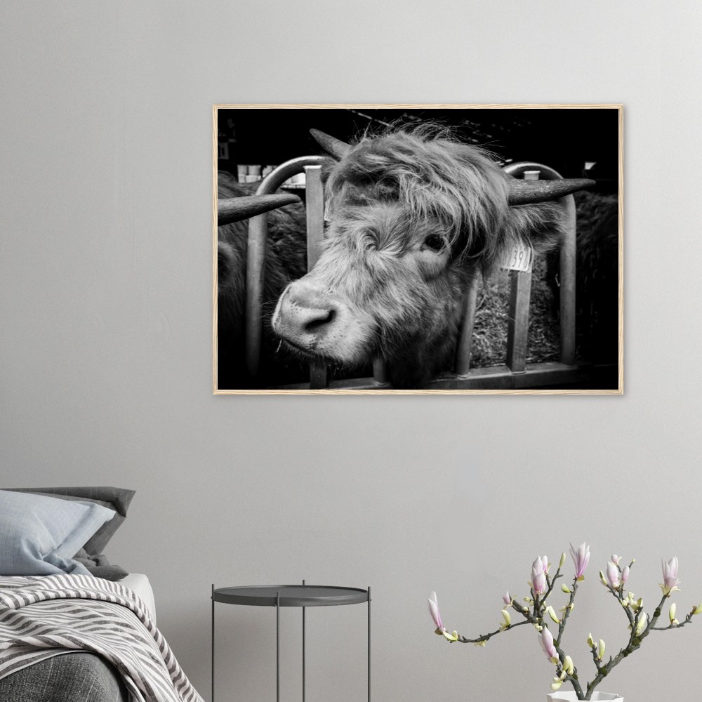Highland Cow B&W - Wooden Framed Print - Image 6