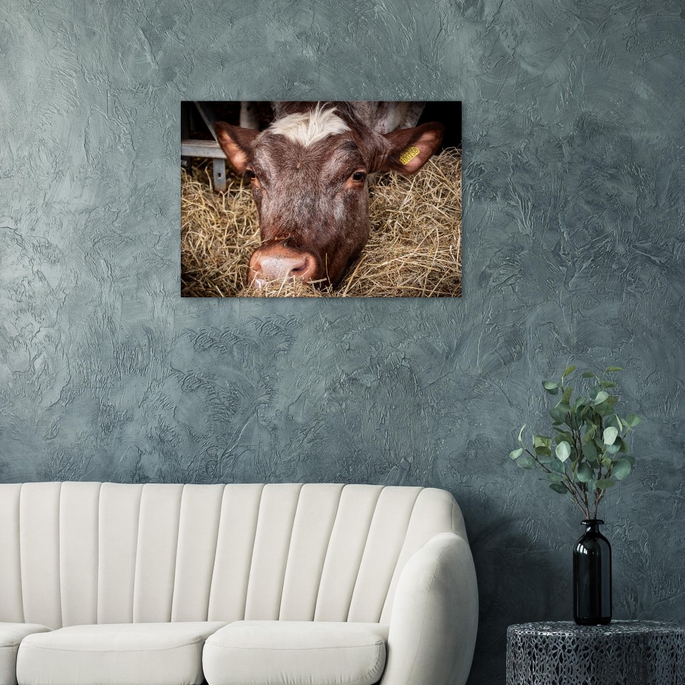Hungry Cow - Fine art Canvas print - Image 3