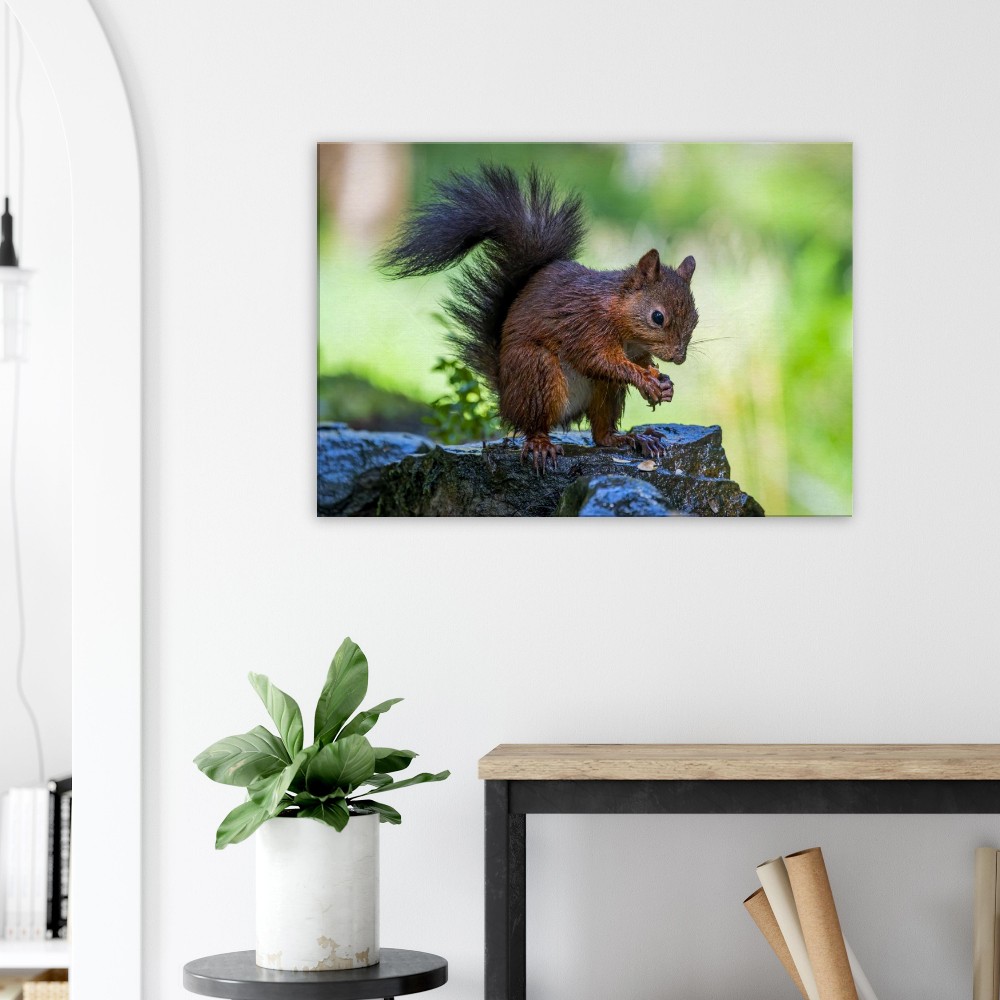 Red Squirrel With An Acorn - Fine art Canvas print - Image 4
