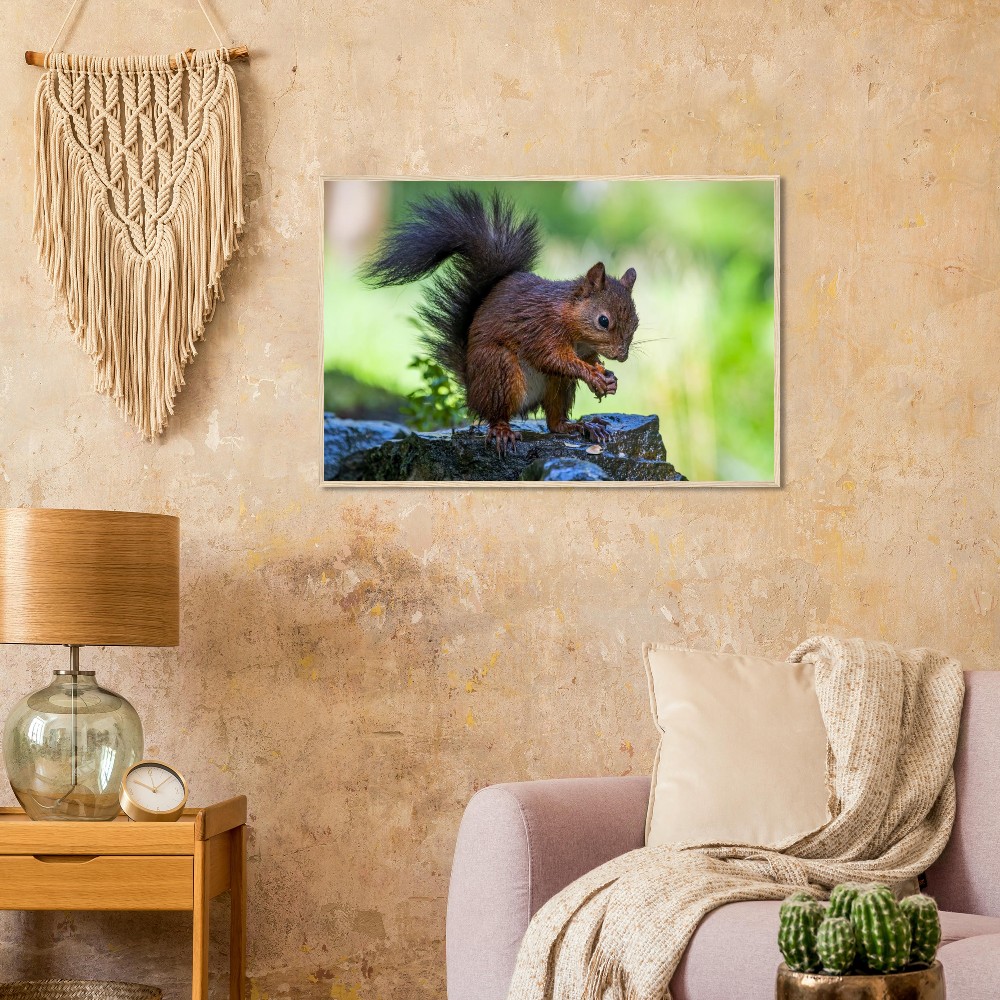 Red Squirrel With An Acorn - Fine art Wooden Framed Poster - Image 3
