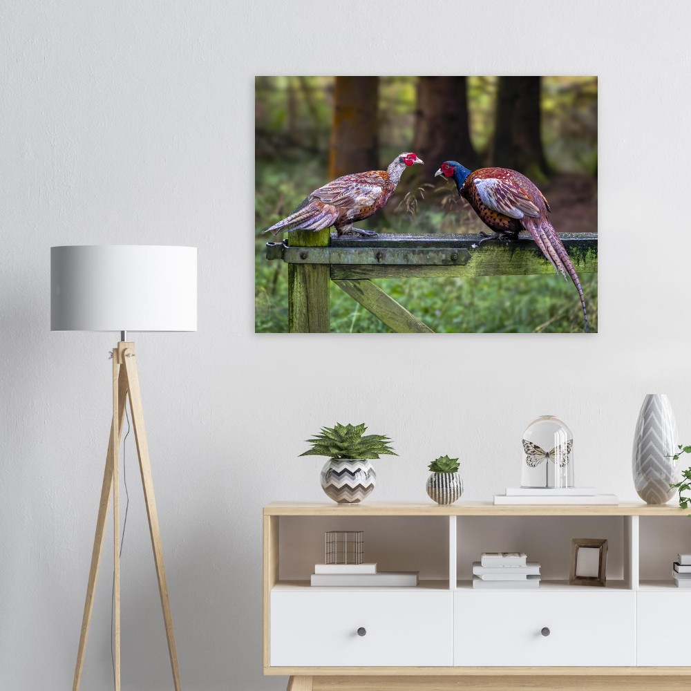 Brace Of Pheasants - Fine Art Print - Image 6