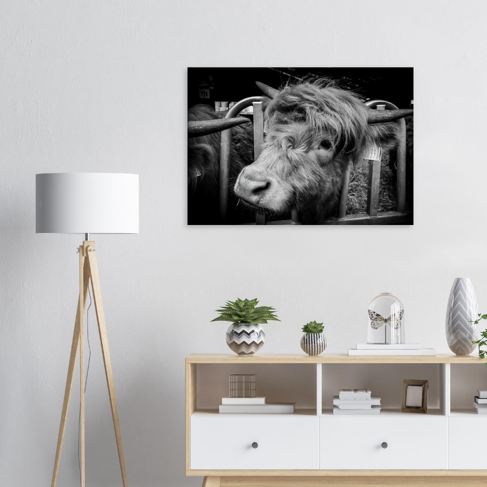 Highland Cow B&W - Fine art Canvas print - Image 3