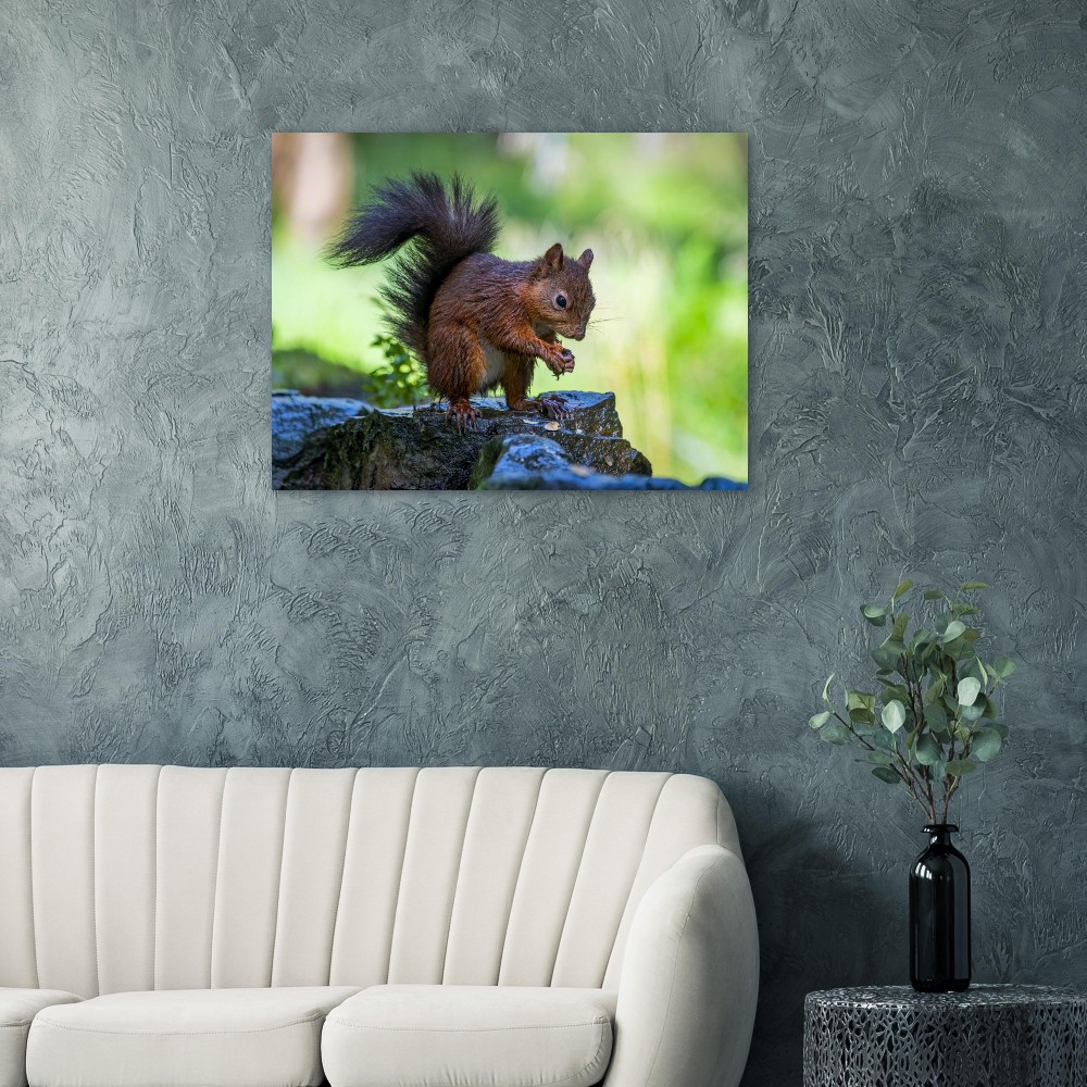 Squirrel With An Acorn - Fine Art Print - Image 3
