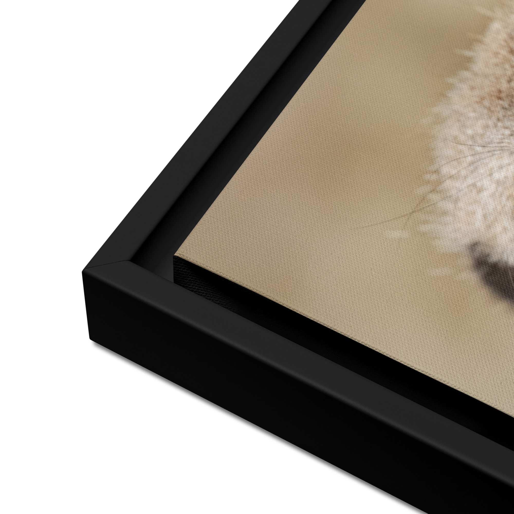 Dreamy Meercat - Framed fine art canvas - Image 10