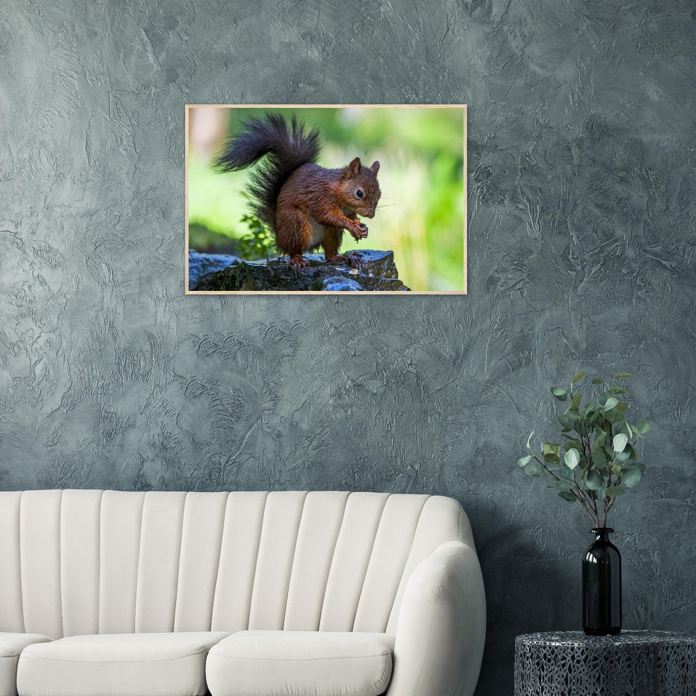 Red Squirrel With An Acorn - Fine art Wooden Framed Poster - Image 6