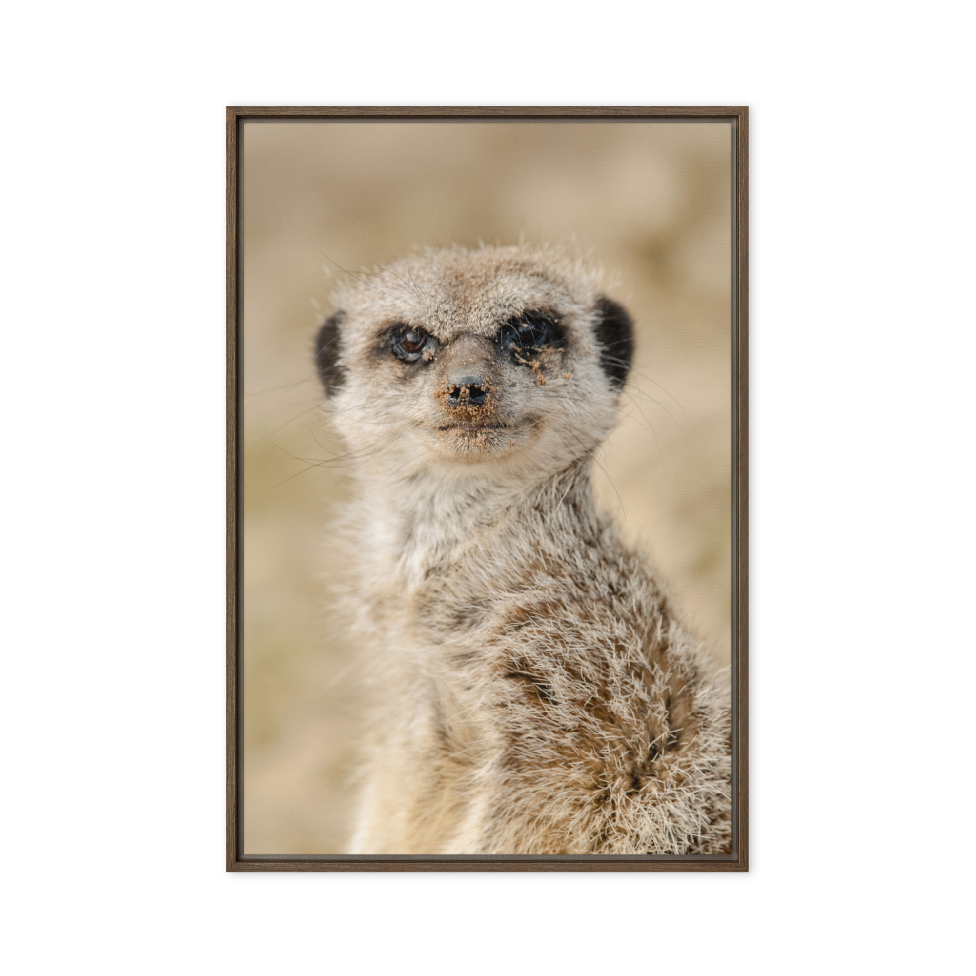 Dreamy Meercat - Framed fine art canvas - Image 2