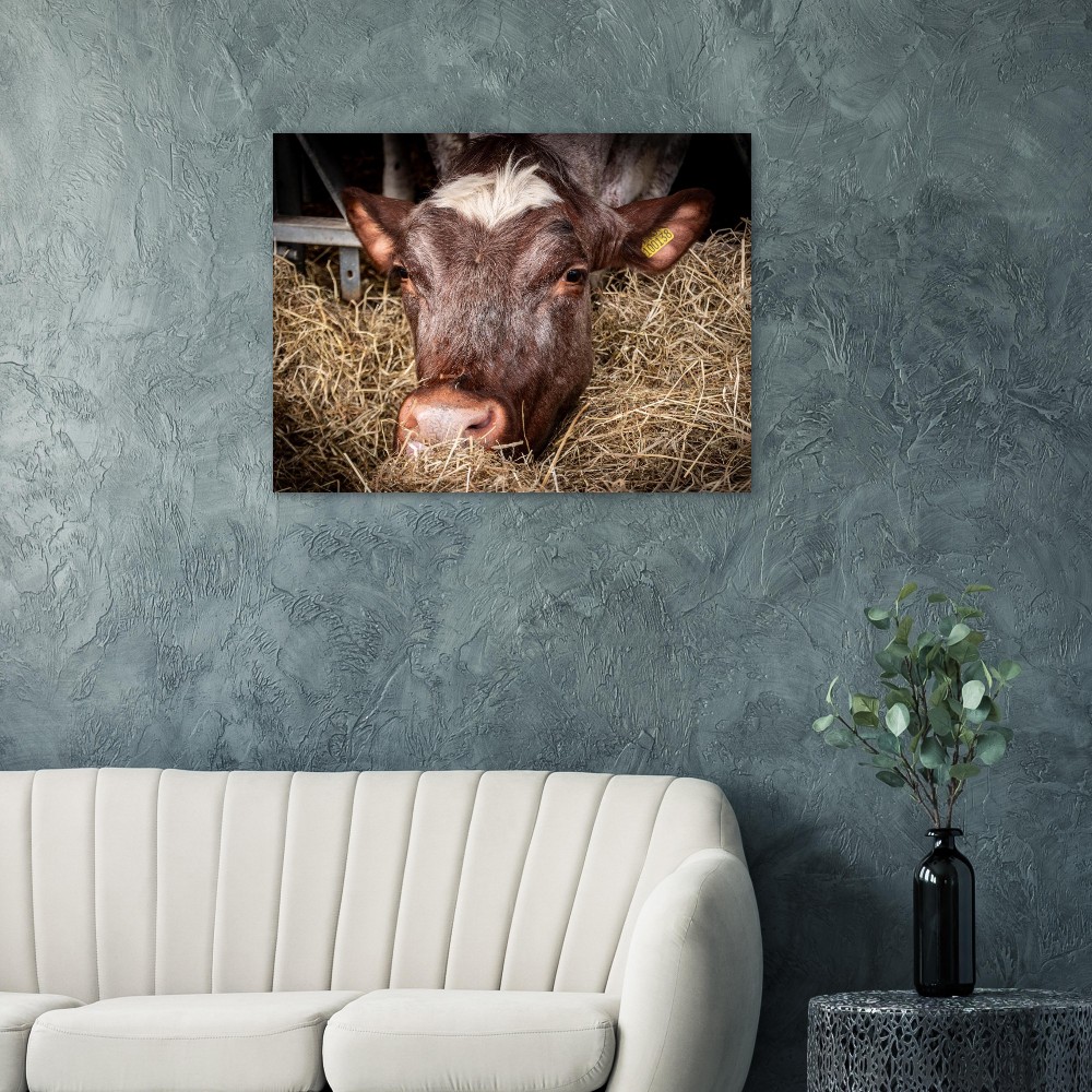 Hungry Cow - Fine Art Print - Image 5