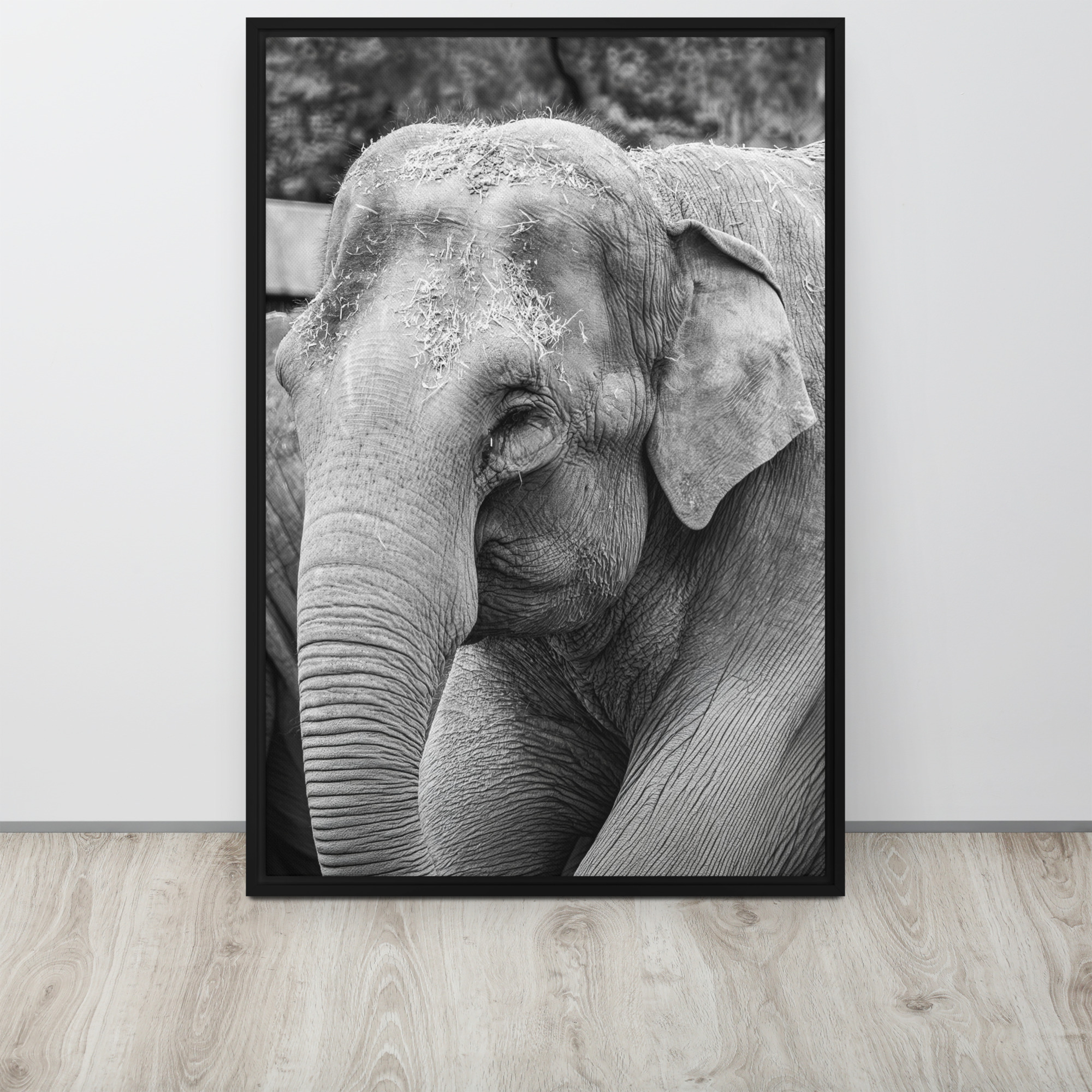 Elephant B&W - Fine art framed canvas - Image 2