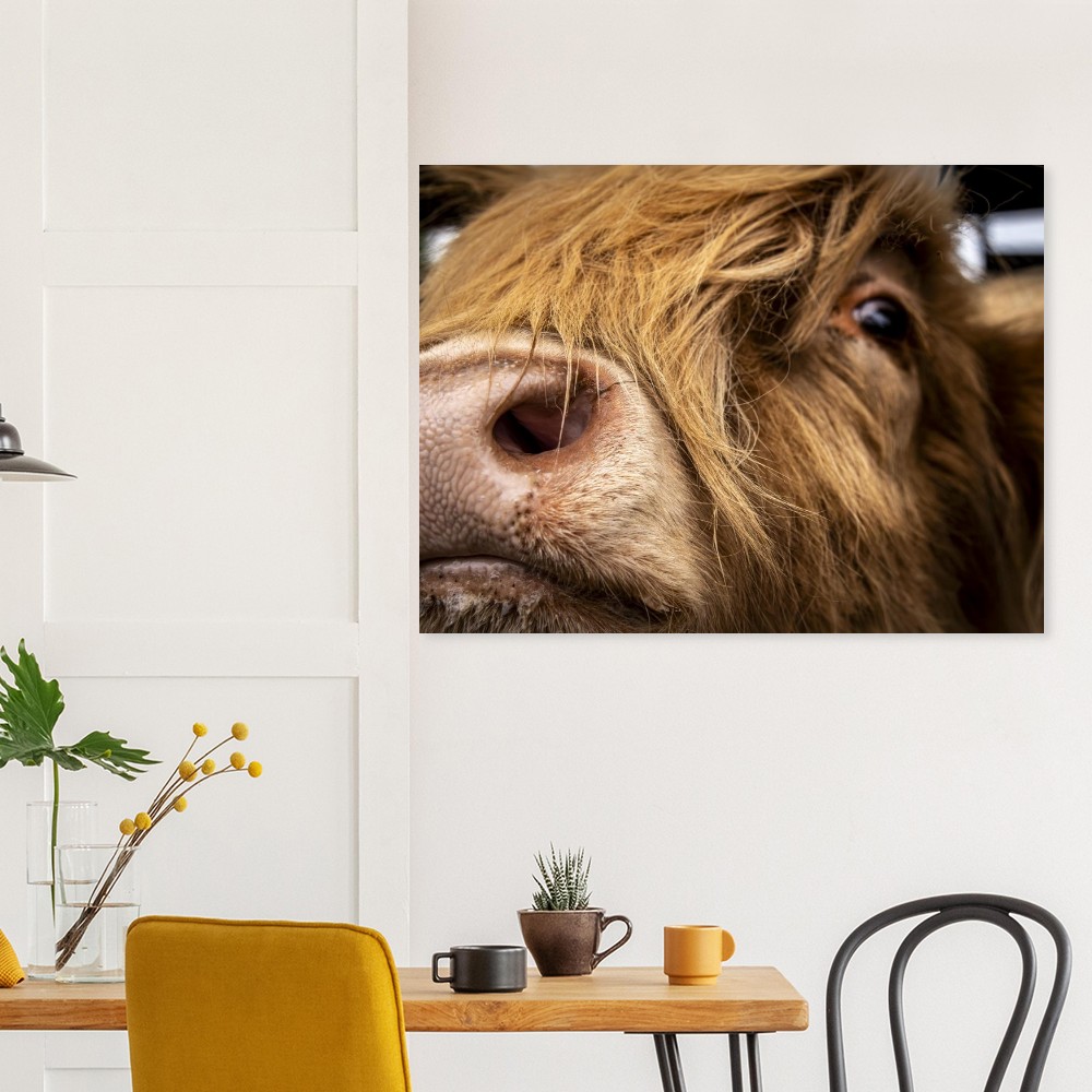 Highland Cow Nose - Fine Art Print - Image 2