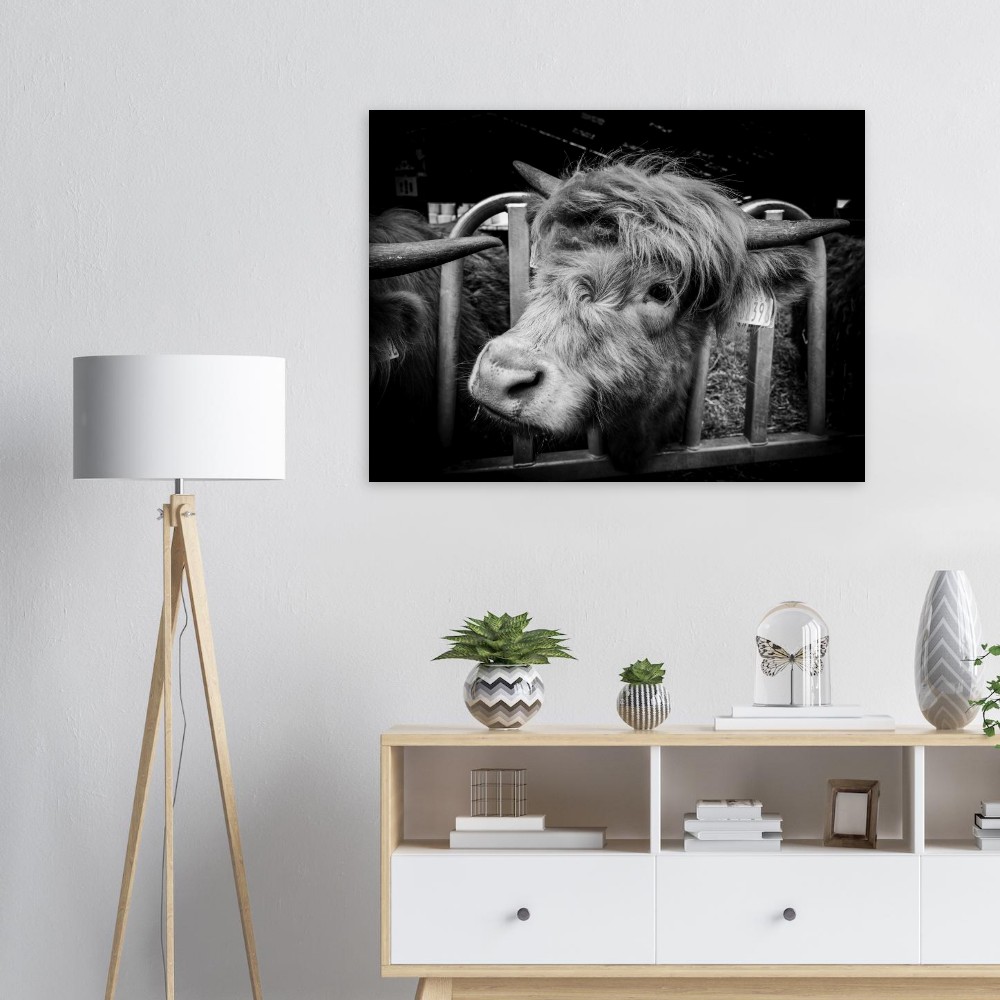 Highland Cow B&W - Fine Art Print - Image 3