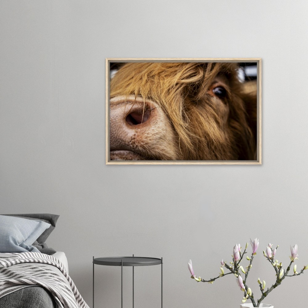 Highland Cow Nose - Framed Canvas - Image 5