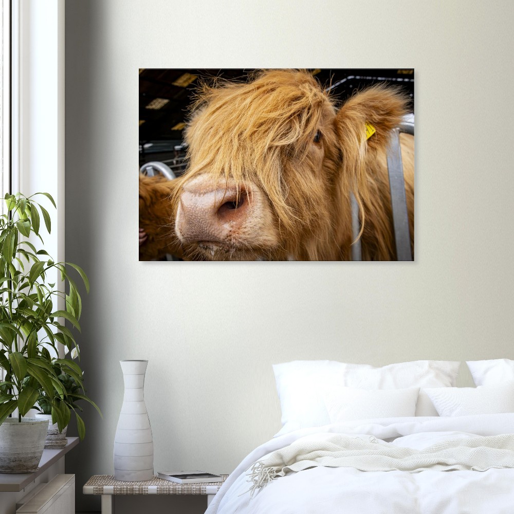 Highland Cow Close - Fine art Canvas print - Image 5