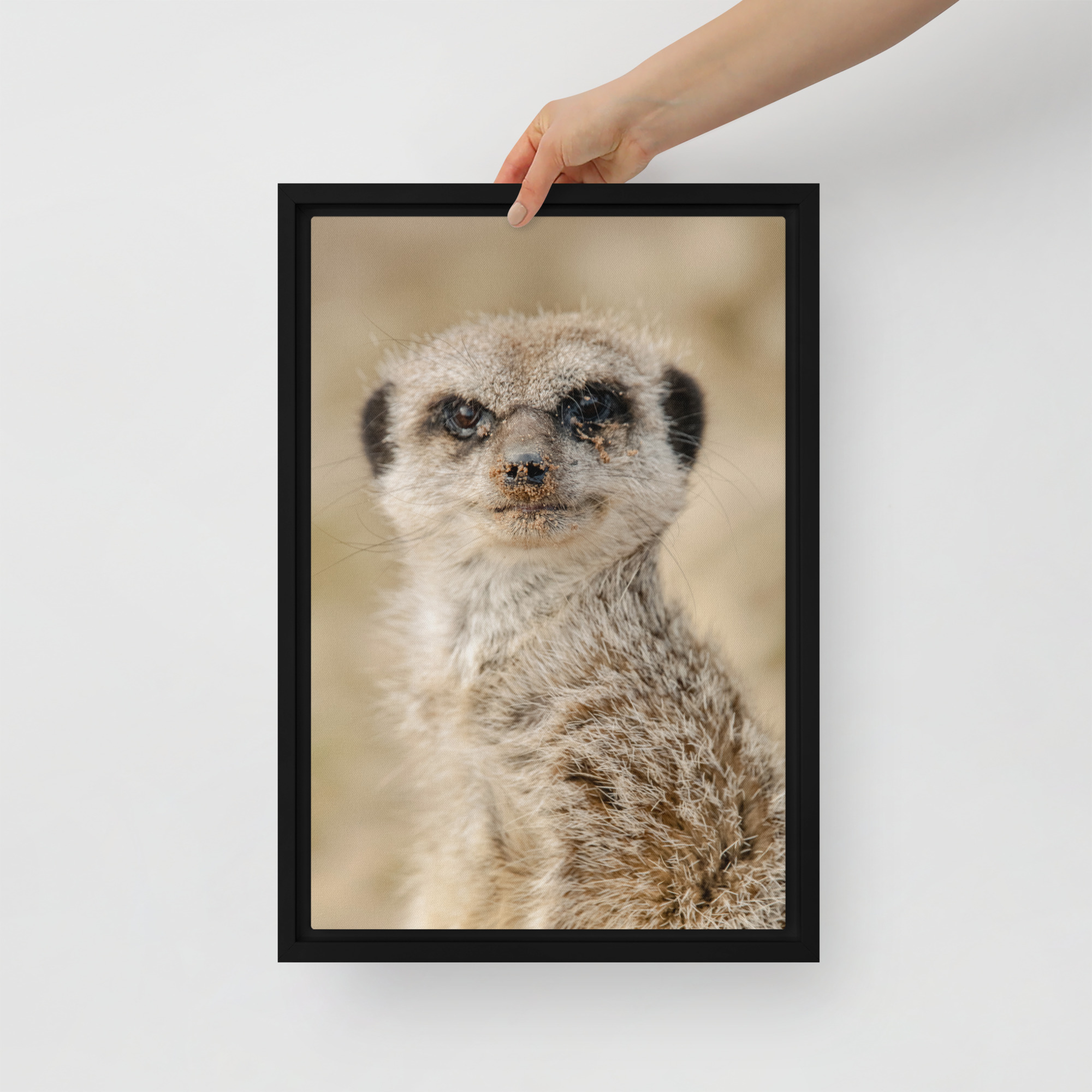 Dreamy Meercat - Framed fine art canvas - Image 4